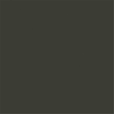 TRU-COLOR PAINT Paint, Matte Dark Brown Tree Bark TCP438